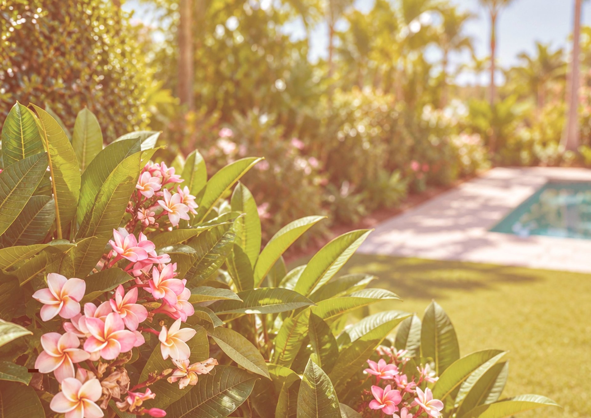 Flores y vegetación en un jardín con piscina