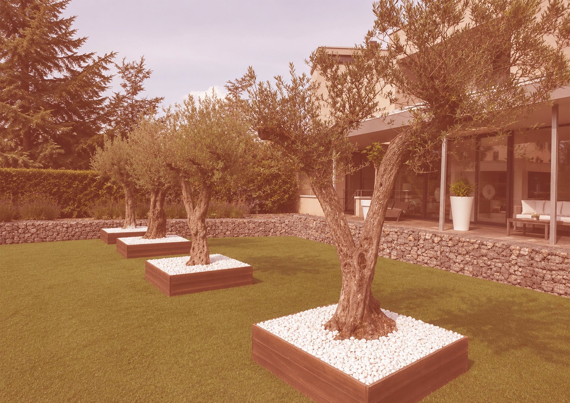 Jardín con olivos y piedra blanca
